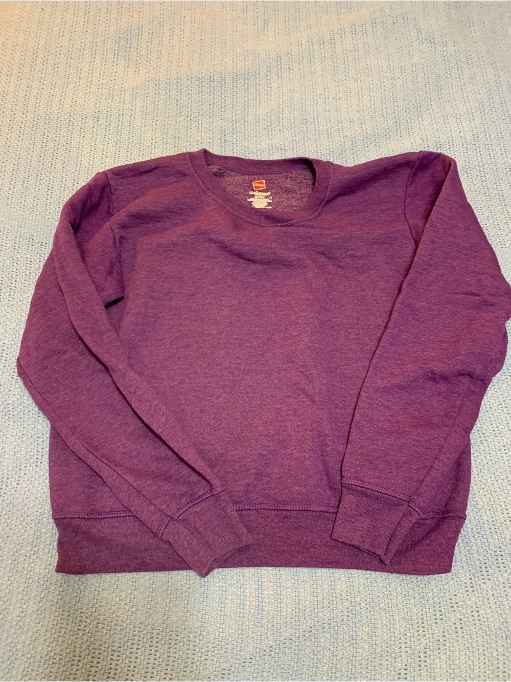 Hanes Plum Crewneck Sweatshirt - Deep Purple
